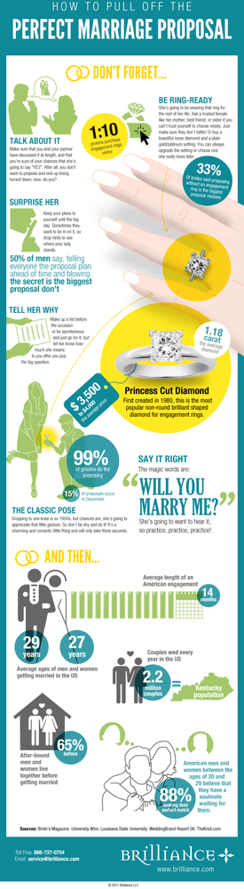 Marriage Proposal Guide Infographic