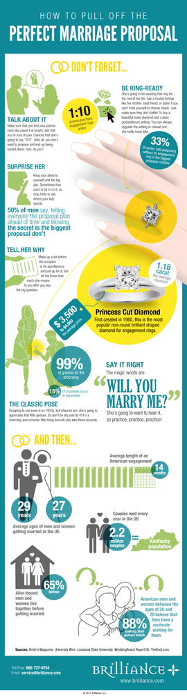 Marriage Proposal Guide Infographic